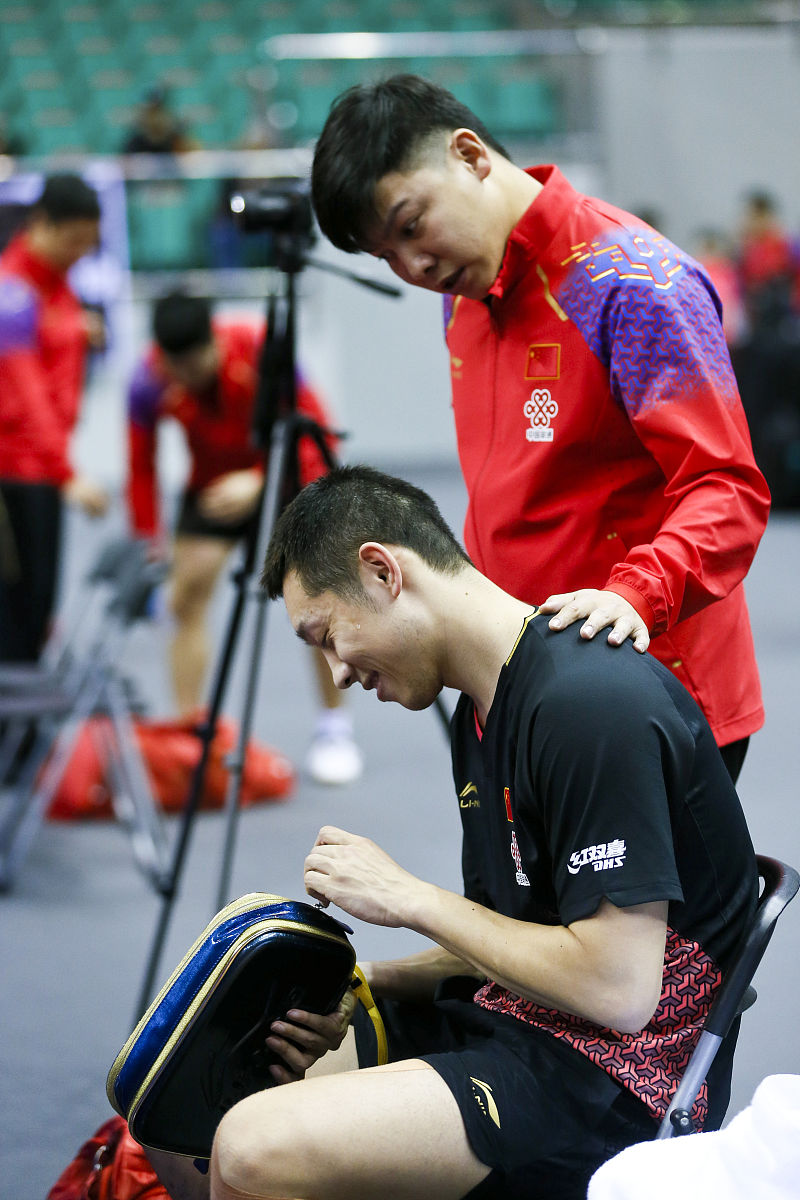 波兰队力克日本队，许昕状态火热