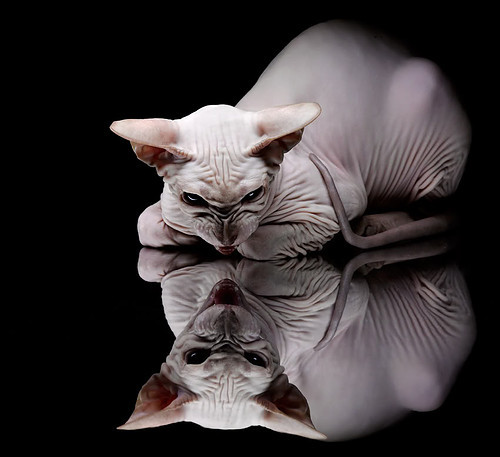 巨浪突进，亚洲蓝调奏响意大利，久保建英撕裂巨星包围圈