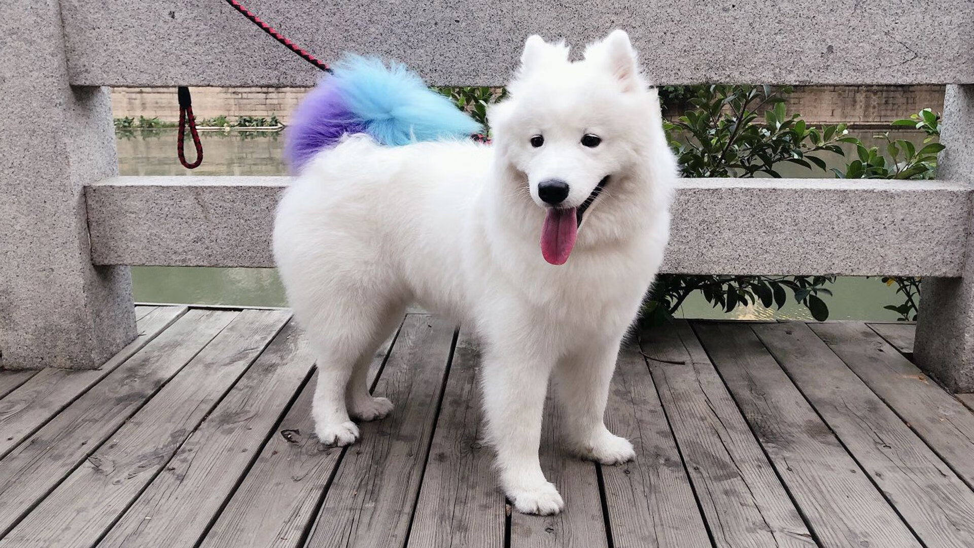 新王登基之夜,爱德华兹末节独舞,冰封东部之巅