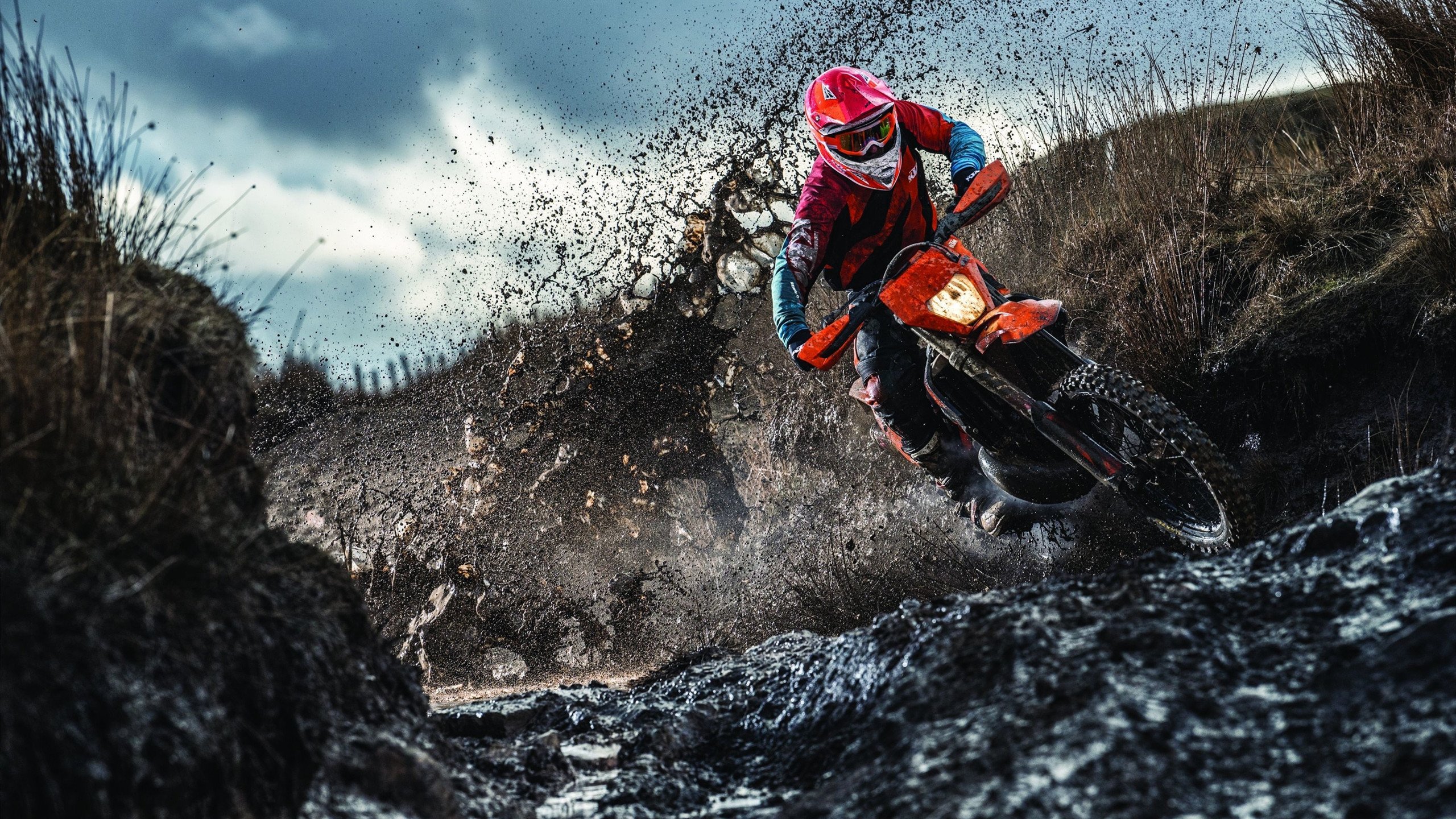 轰鸣与终哨,当F1赛道上的年度决战遇见篮球场的压哨绝杀