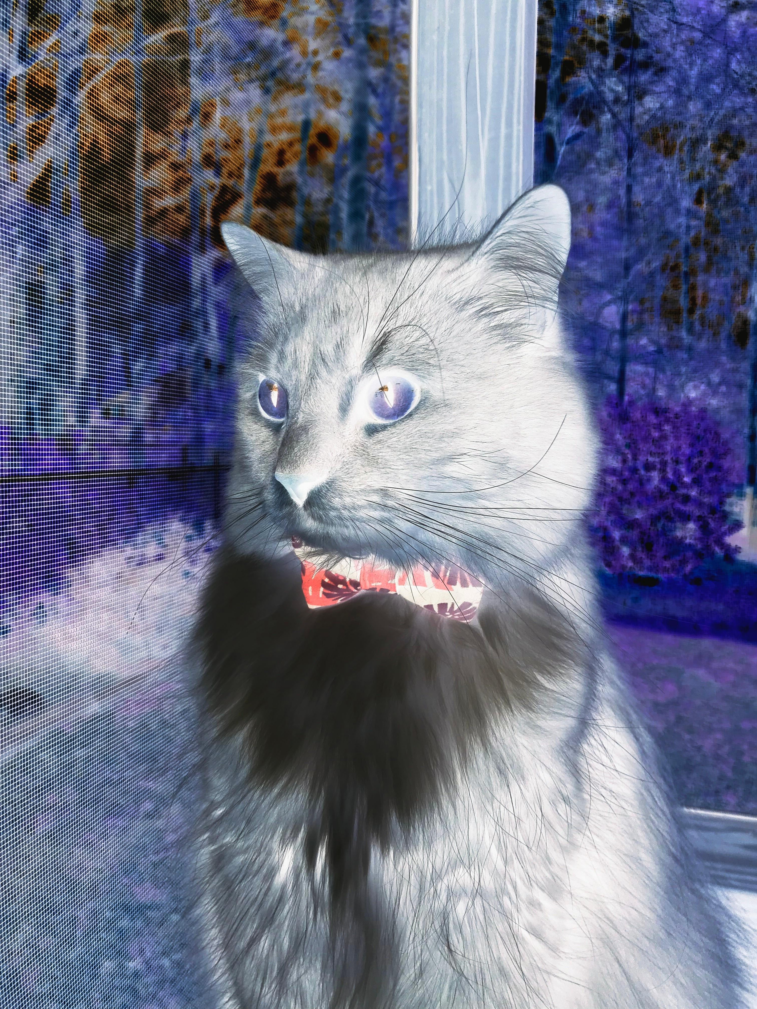 无懈可击！杰伦·格林新王降临，快船以旧换新打穿风城铁幕